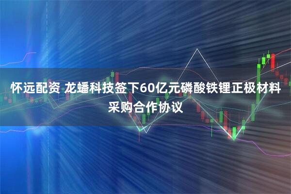 怀远配资 龙蟠科技签下60亿元磷酸铁锂正极材料采购合作协议