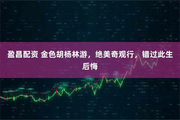 盈昌配资 金色胡杨林游，绝美奇观行，错过此生后悔
