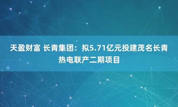 天盈财富 长青集团：拟5.71亿元投建茂名长青热电联产二期项目