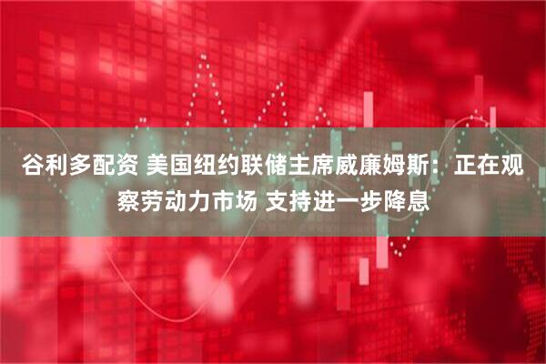 谷利多配资 美国纽约联储主席威廉姆斯：正在观察劳动力市场 支持进一步降息