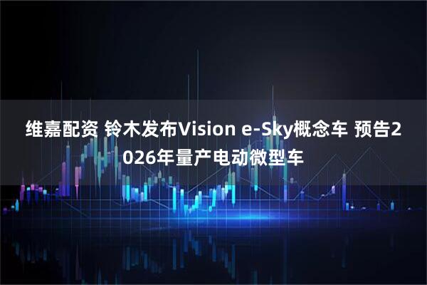 维嘉配资 铃木发布Vision e-Sky概念车 预告2026年量产电动微型车