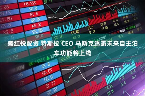 盛红悦配资 特斯拉 CEO 马斯克透露未来自主泊车功能将上线