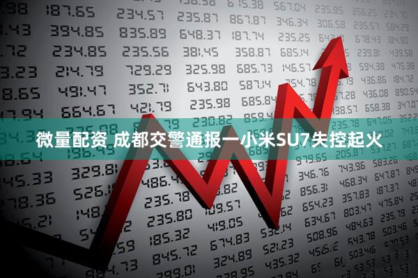 微量配资 成都交警通报一小米SU7失控起火