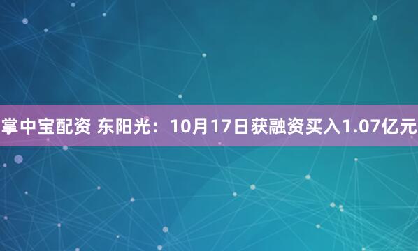 掌中宝配资 东阳光：10月17日获融资买入1.07亿元